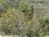 5012 Sheep Dog Trail - Photo 9