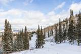 125 White Pine Canyon Road - Photo 32