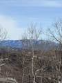 10215 Basin Canyon Road - Photo 8