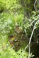 3090 Rocky Rd - Photo 15