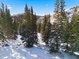 207 White Pine Canyon Road - Photo 48