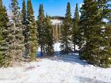 207 White Pine Canyon Road - Photo 50