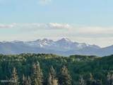14020 Aspen Ridge Circle - Photo 4