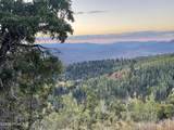 14020 Aspen Ridge Circle - Photo 5