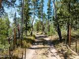 5559 Forest Drive - Photo 8