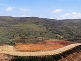 1211 Big Sky Trail - Photo 4