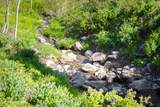 10256 Basin Canyon Road - Photo 34