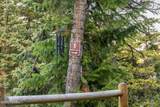 110 Paradise Road - Photo 41