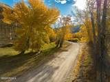 34006 Strawberry River Road - Photo 10