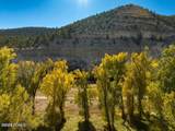 34006 Strawberry River Road - Photo 12