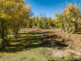34006 Strawberry River Road - Photo 8