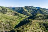 8859 Sage Run Road - Photo 48