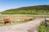 8859 Sage Run Road - Photo 61
