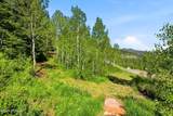39 White Pine Canyon Road - Photo 114