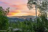 39 White Pine Canyon Road - Photo 51