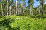 5339 Grouse Road - Photo 13