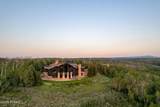 9156 Forest Creek Road - Photo 31