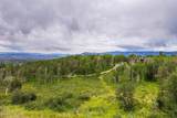 785 Artist Point Drive - Photo 45