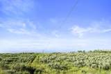 17017 Ant Flat Road - Photo 67