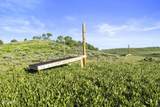 17017 Ant Flat Road - Photo 70