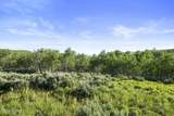 17017 Ant Flat Road - Photo 89