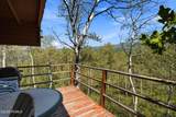 2575 Red Willow Lane - Photo 33