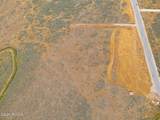 875 Hoyt Peak Ranch Road - Photo 14