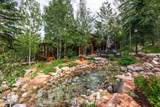 29 Canyon Court - Photo 92