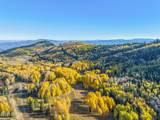 276 White Pine Canyon Road - Photo 6