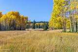 280 White Pine Canyon Road - Photo 7