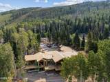263 White Pine Canyon Road - Photo 3