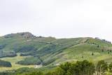  No Situs Address - Photo 28