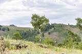  No Situs Address - Photo 48