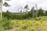  No Situs Address - Photo 75