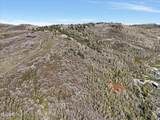 10215 Basin Canyon Road - Photo 10