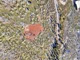 10215 Basin Canyon Road - Photo 11
