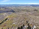 10215 Basin Canyon Road - Photo 8