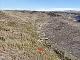 10215 Basin Canyon Road - Photo 9