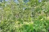 2821 Deer Run Road - Photo 35