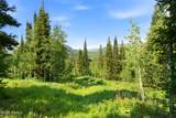 207 White Pine Canyon Road - Photo 11