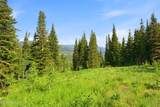207 White Pine Canyon Road - Photo 13