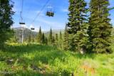 207 White Pine Canyon Road - Photo 15