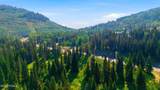207 White Pine Canyon Road - Photo 4