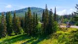 207 White Pine Canyon Road - Photo 9