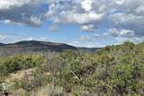 1950 Red Hawk Trail - Photo 4