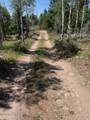 5559 Forest Drive - Photo 9