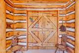 3853 Rising Star Lane - Photo 47