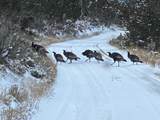 8398 Highway 302 - Photo 45