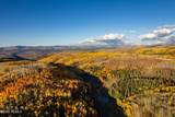 12945 Forest Creek Road - Photo 85