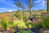 9465 Tuhaye Park Drive - Photo 43
